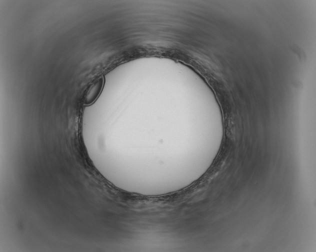 X0000114211061200911061440