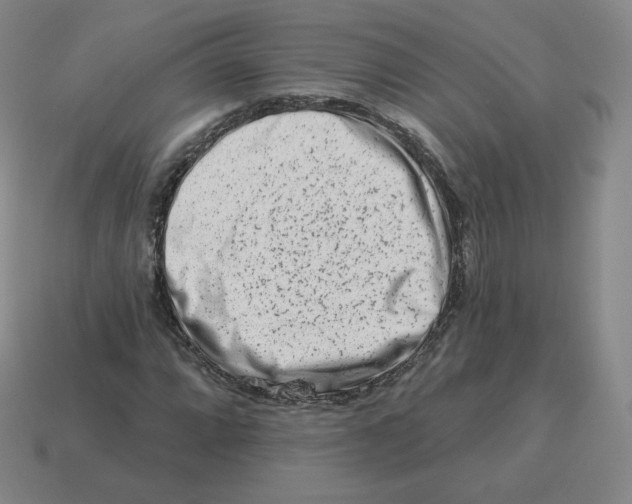 X0000114211064200911061440