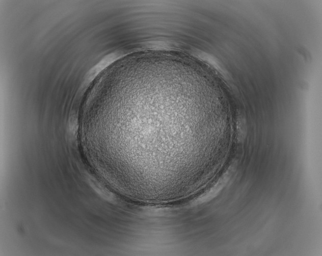 X0000114211065200911061440