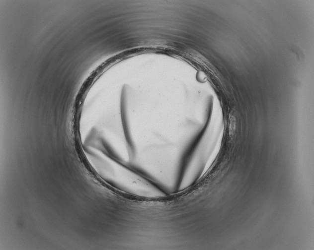 X0000114211068200911061440