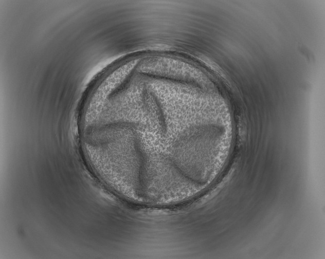 X0000114211070200911061440