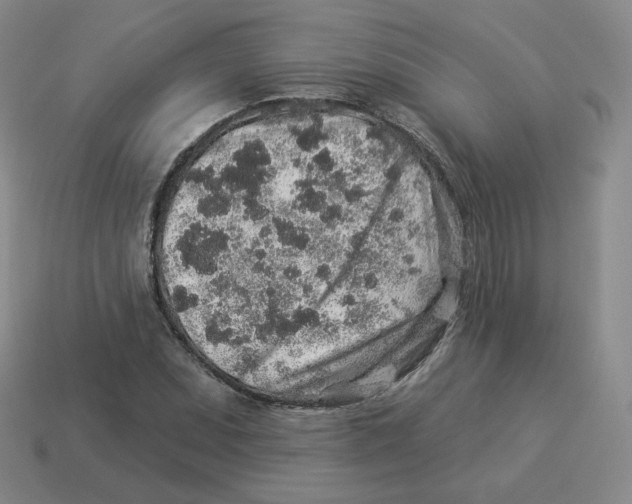 X0000114211071200911061440