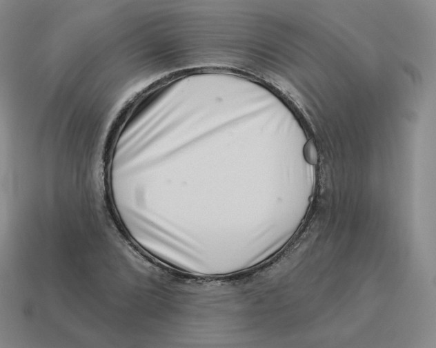 X0000114211072200911061440