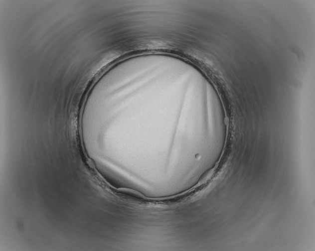 X0000114211073200911061440