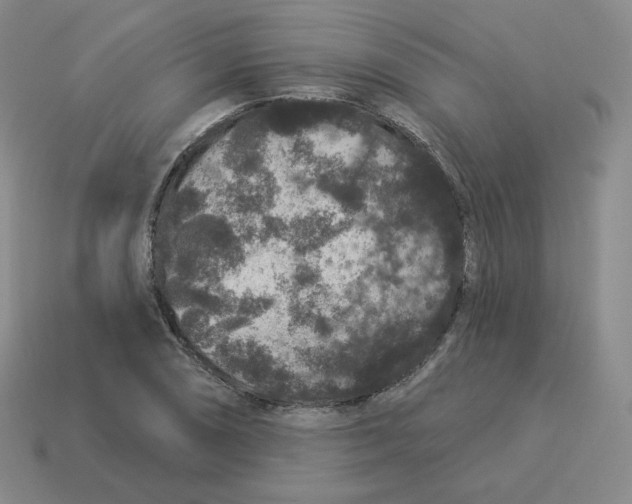 X0000114211074200911061440