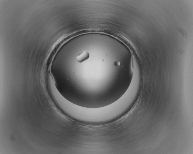 X0000114211075200911061440