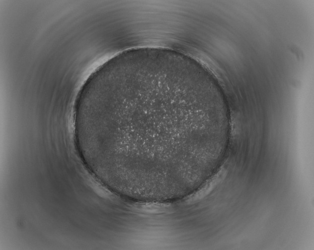 X0000114211077200911061440