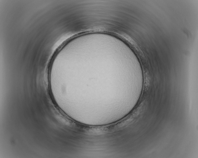 X0000114211078200911061440