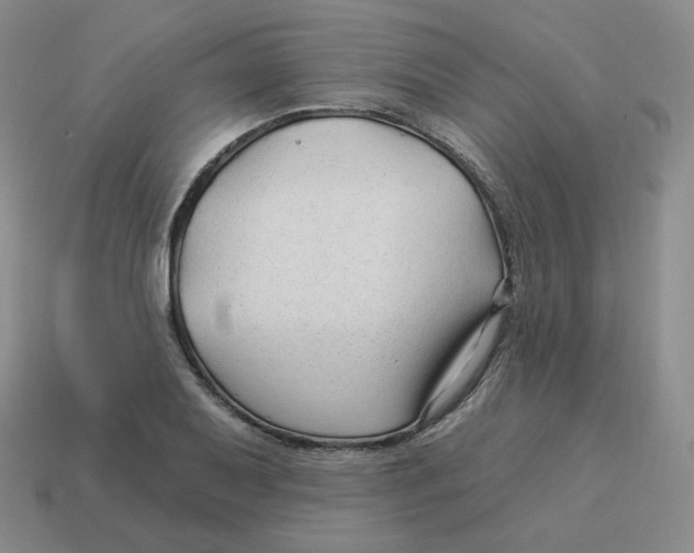 X0000114211079200911061440