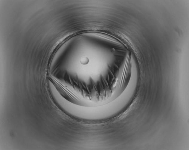 X0000114211081200911061440