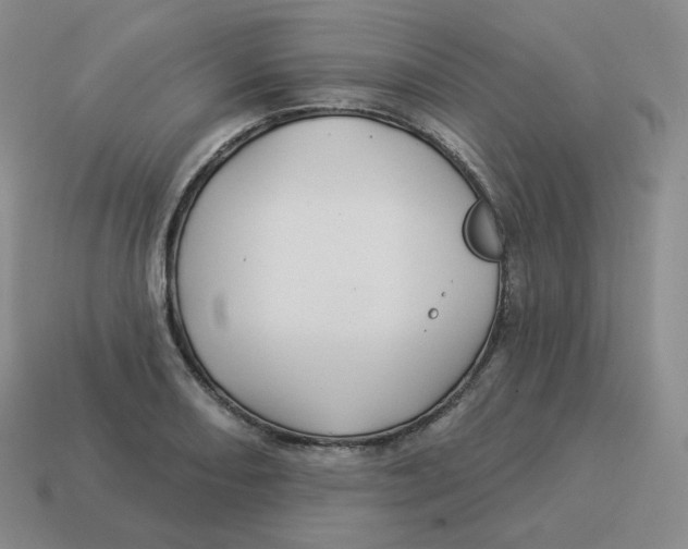 X0000114211082200911061440