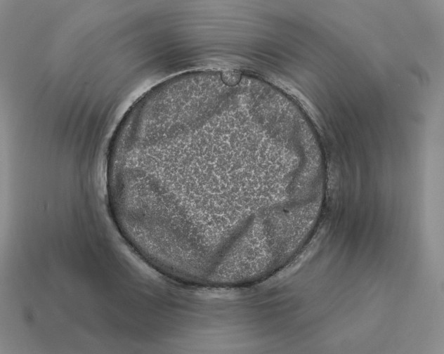 X0000114211083200911061440