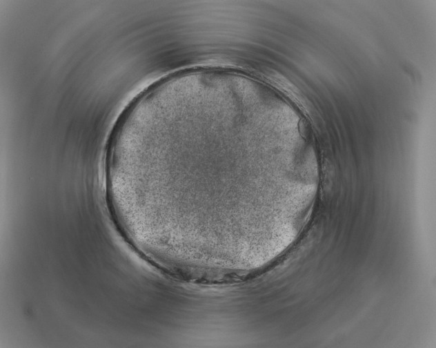 X0000114211084200911061440