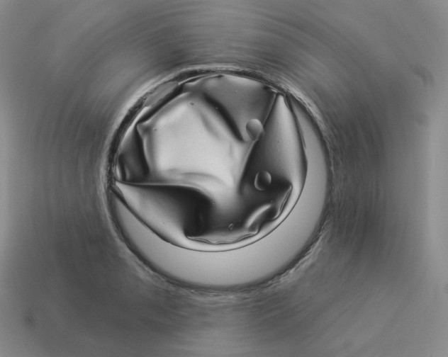 X0000114211085200911061440