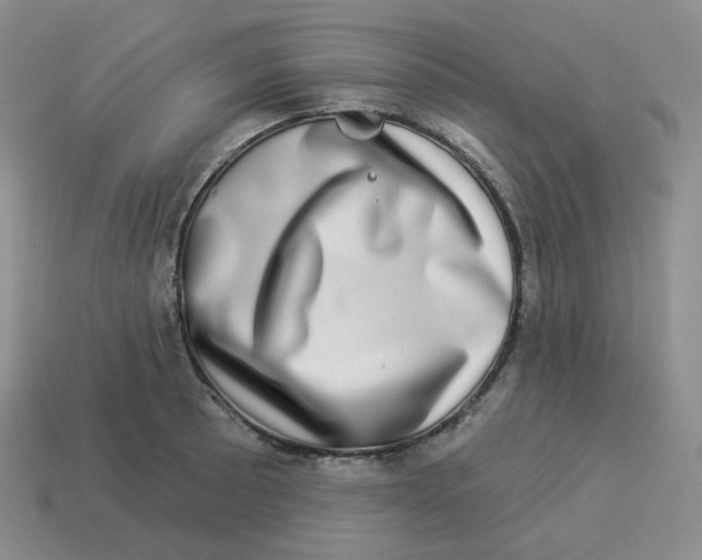 X0000114211089200911061440