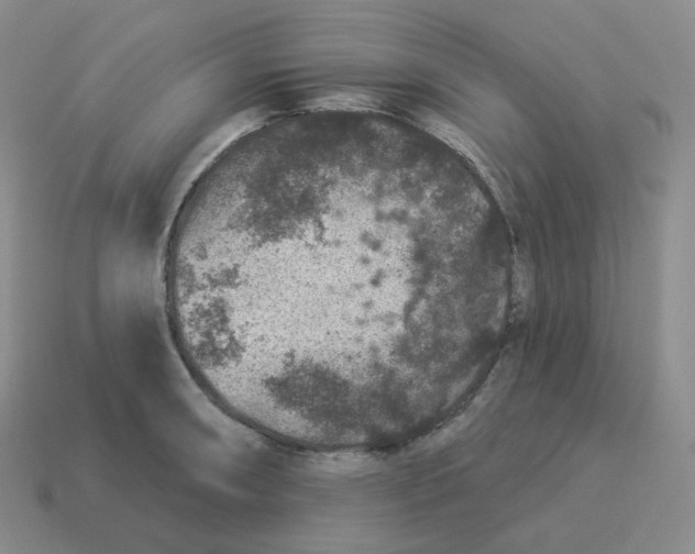 X0000114211090200911061440