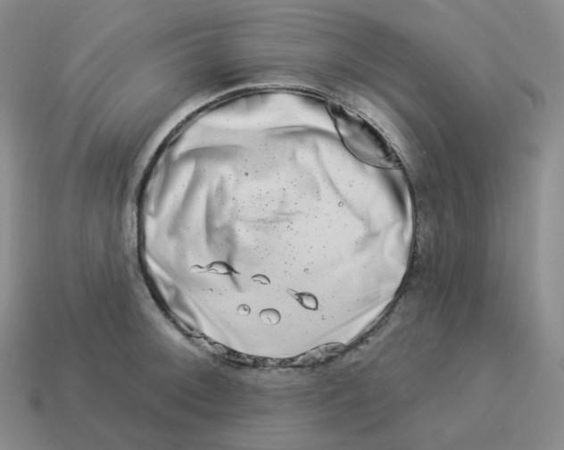 X0000114211092200911061440