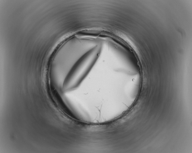 X0000114211093200911061440