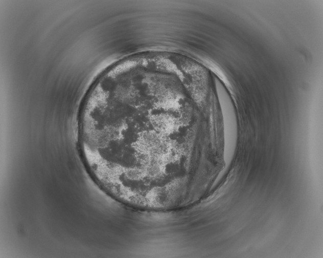 X0000114211095200911061440