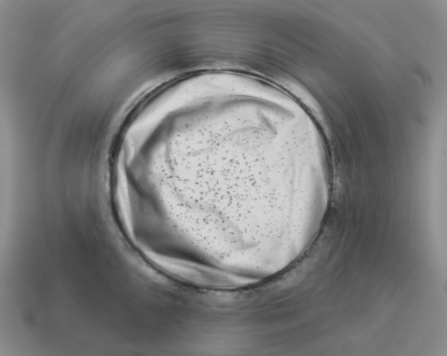 X0000114211096200911061440