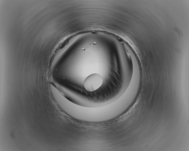 X0000114211097200911061440