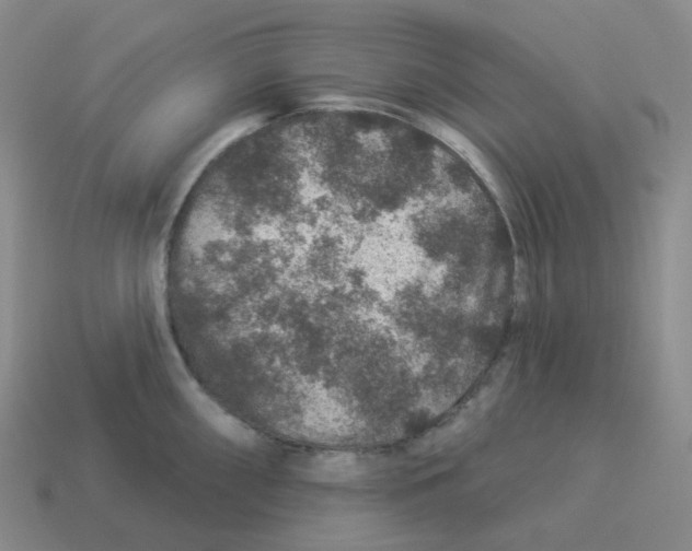 X0000114211098200911061440