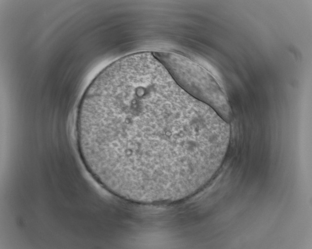 X0000114211103200911061440