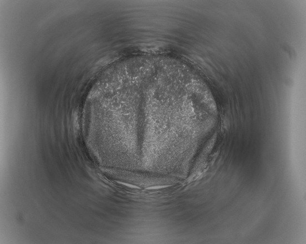 X0000114211106200911061439