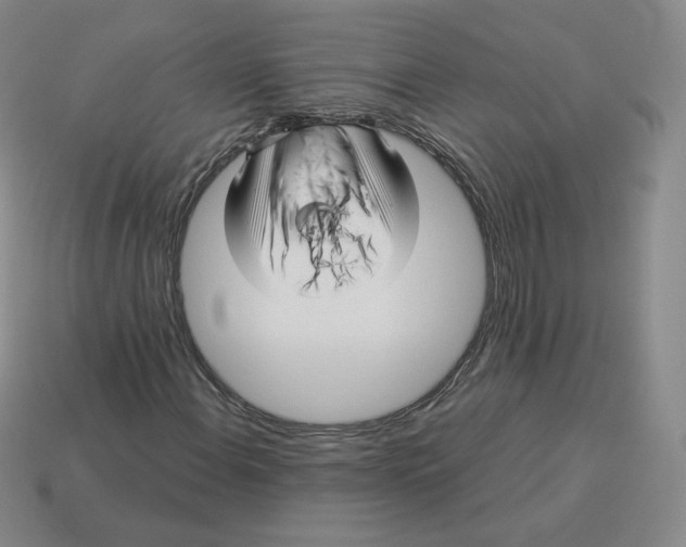 X0000114211108200911061439