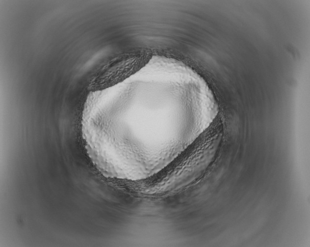 X0000114211110200911061439