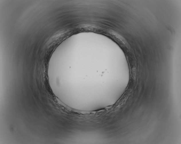 X0000114211111200911061439