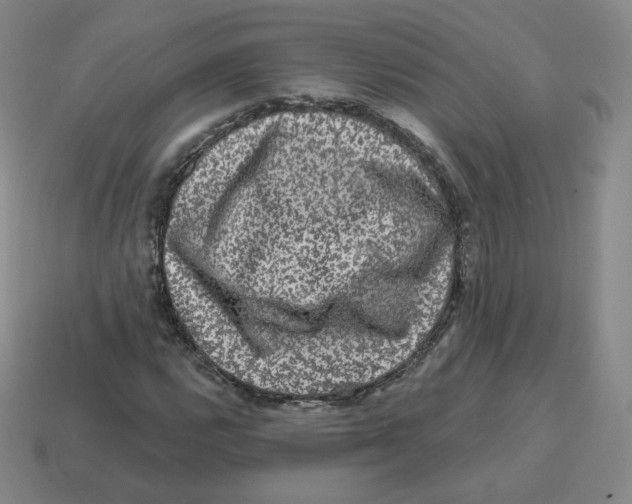 X0000114211112200911061439