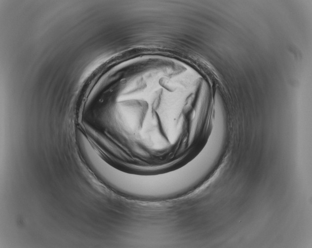 X0000114211114200911061439