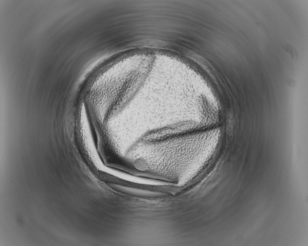 X0000114211115200911061439