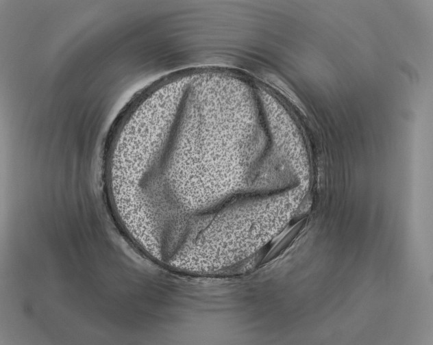 X0000114211116200911061439