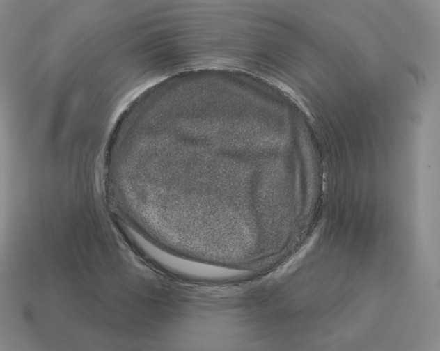 X0000114211117200911061439