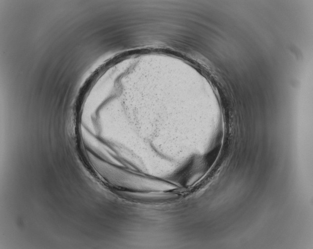 X0000114211118200911061439