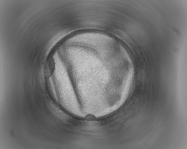 X0000114211120200911061439