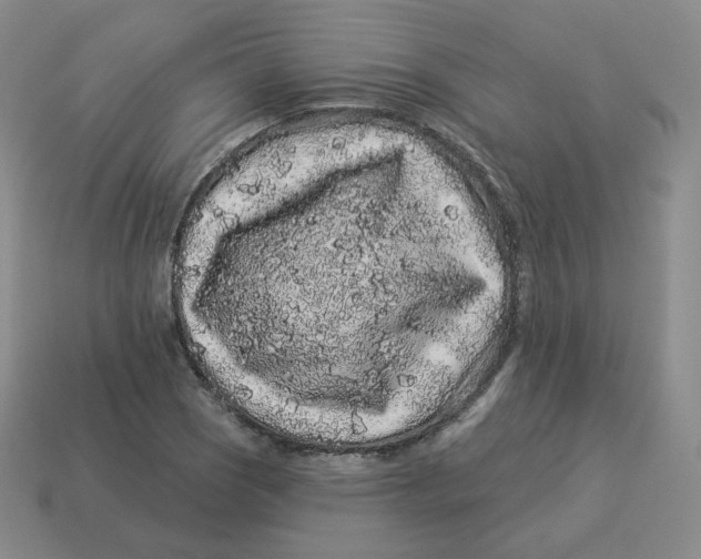 X0000114211121200911061439