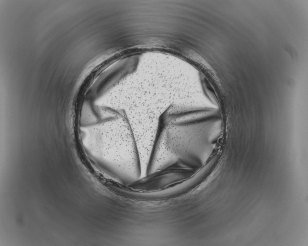 X0000114211122200911061439