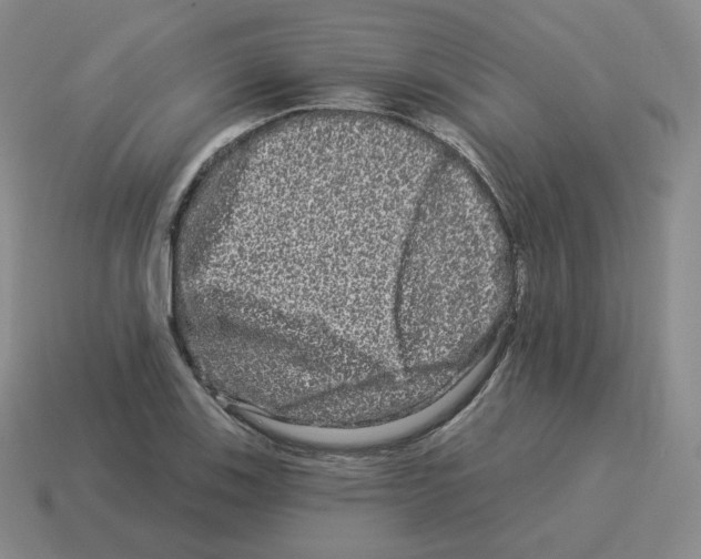 X0000114211123200911061439