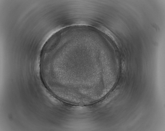 X0000114211124200911061439