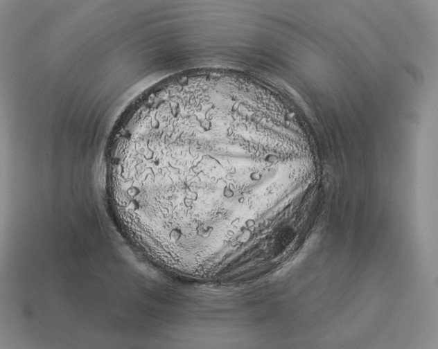 X0000114211125200911061439