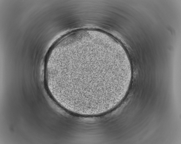 X0000114211126200911061439