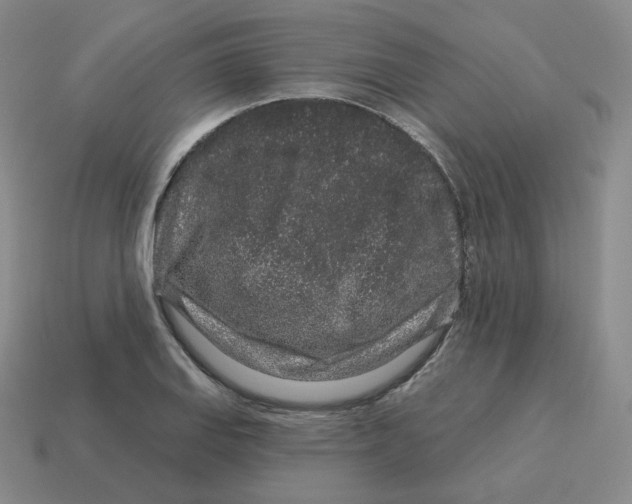 X0000114211127200911061439