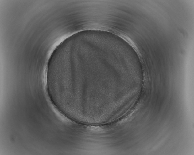 X0000114211128200911061439