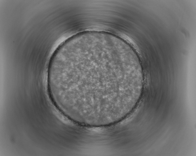 X0000114211130200911061440