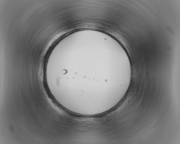 X0000114211131200911061440