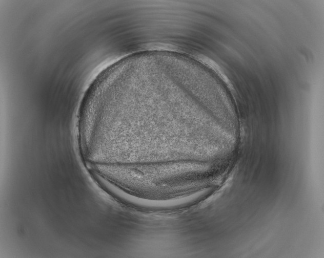 X0000114211133200911061440