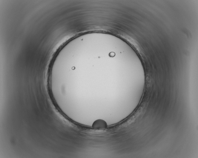 X0000114211135200911061440